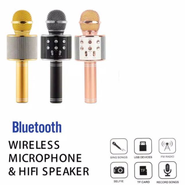 Microphone karaoke wireless