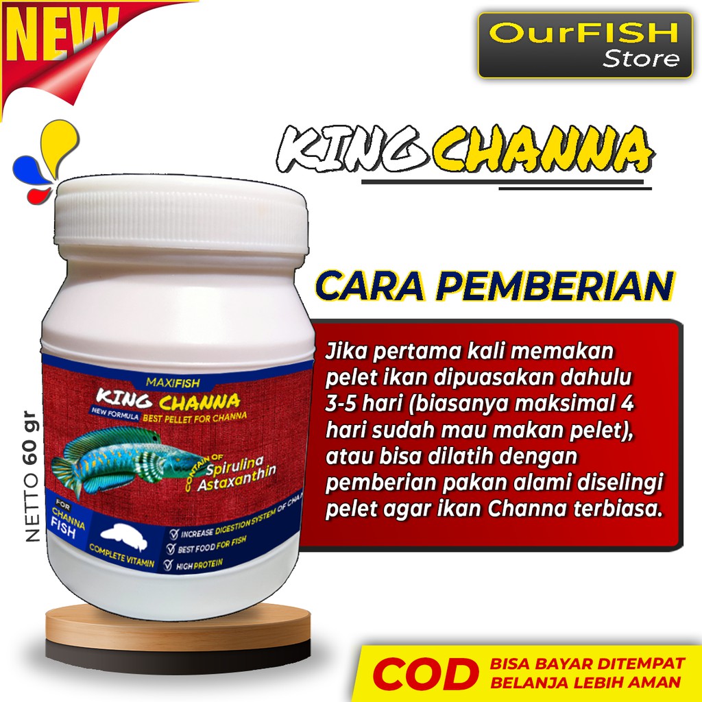 OURFISH - Pelet Pakan Ikan Channa Kingchanna Maru Auranti Blue Pulchra Andrao Asiatica Barca Red Sampit