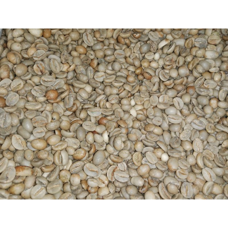 

Grosir Natural Arabika Temanggung