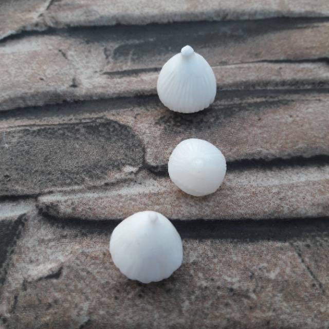 BAYAR DI TEMPAT Batu Fossil Kelapa/Mustika Kelapa Replika