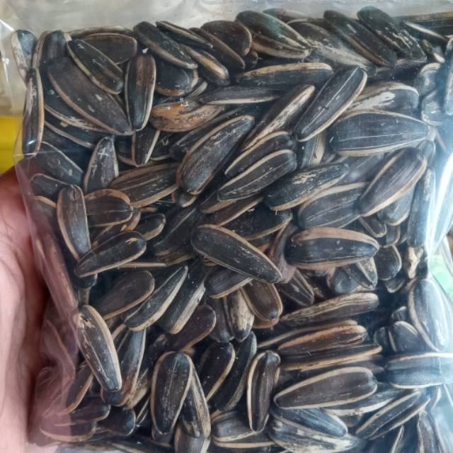 

Kuaci 100gram