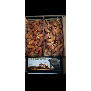 

Kurma Palm Dates pack 500gr