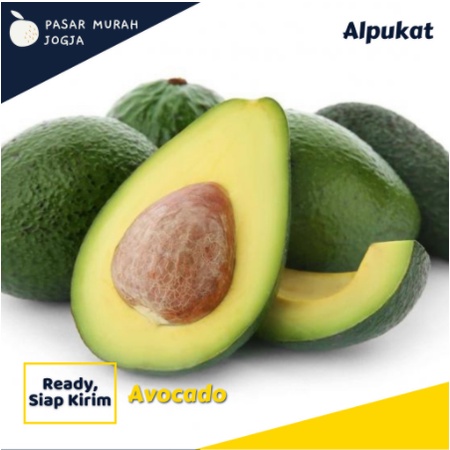 

Buah Alpukat Mentega Segar Buah Kiloan Segar