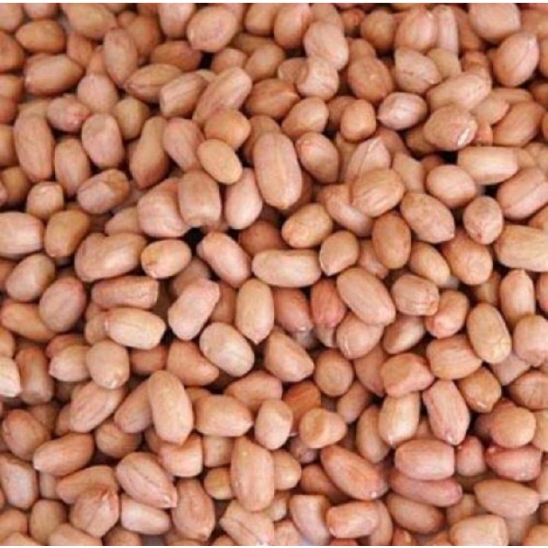 

kacang Tanah 250gr (seperempat) pasar segar