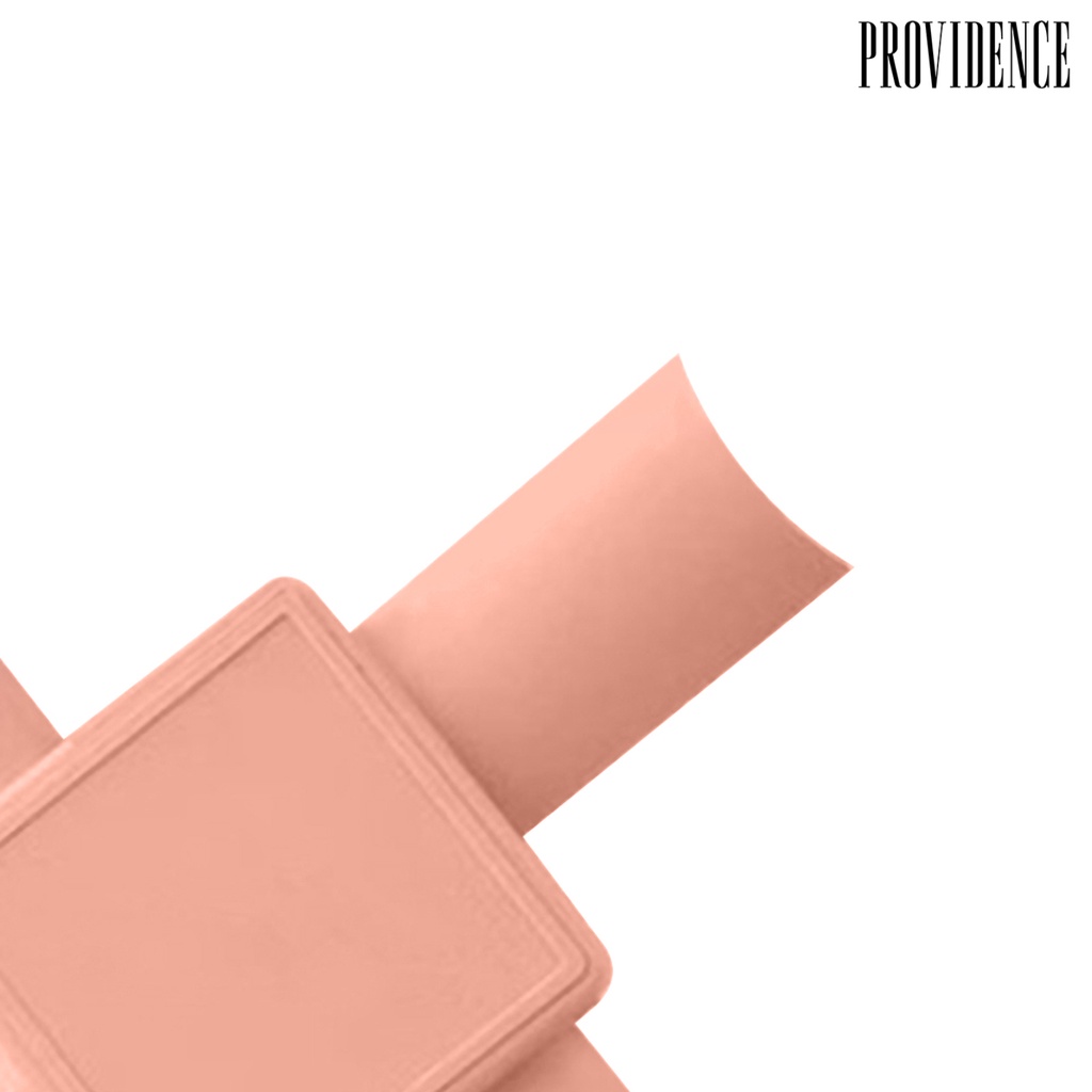 Providence Nail Art Tool Professional Edge Painted Plastic Fashion Nail Tip Dip for Nail Salon