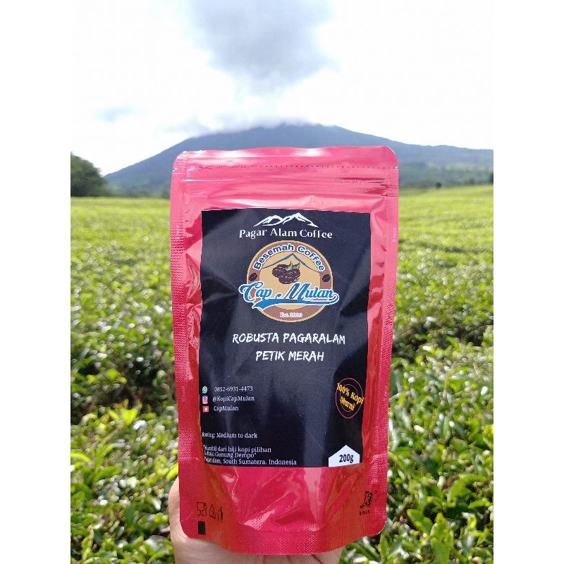 

Kopi Robusta Pagaralam Petik Merah