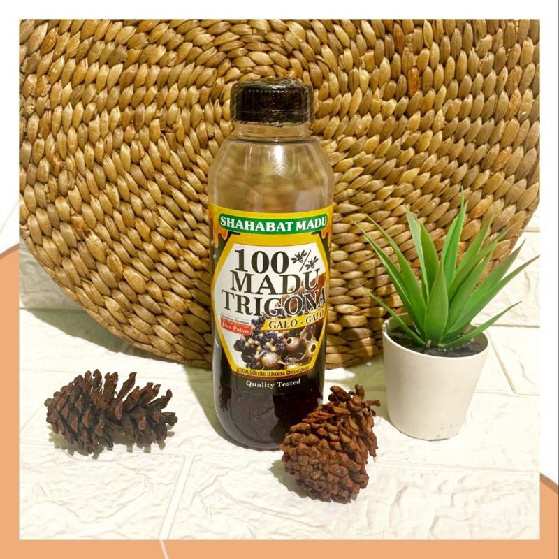 

Madu Trigona