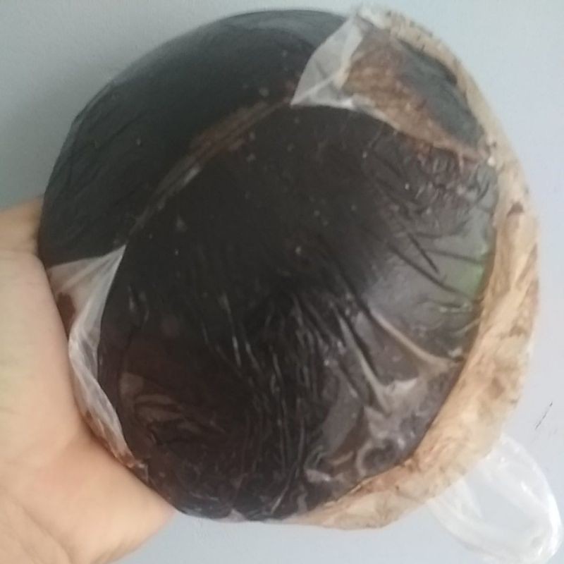

ADY78 (COD)Gula Batok Linggau PALEMBANG/Gulo Cuko Pempek/1KG