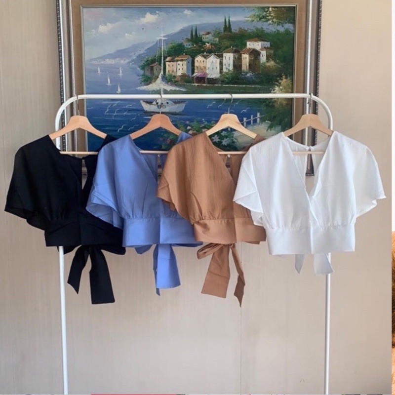 Back Ribbon Flare Sleeve Crop Blouse