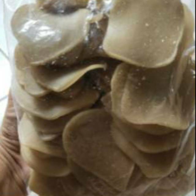 

KEMPLANG udang Segar siap Di Goreng