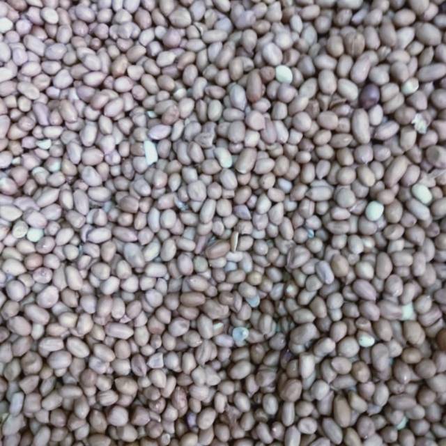 Kacang Tanah Asli Tuban 1 kg