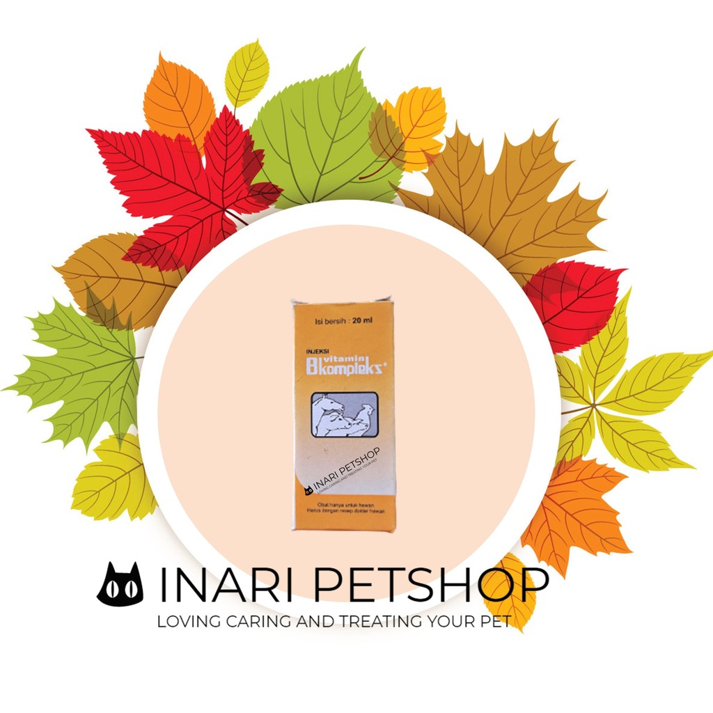 (BARU) VITAMIN B KOMPLEKS 20 ML VITAMIN B COMPLEX MEDION UNTUK KELINCI AYAM SAPI KAMBING DOM