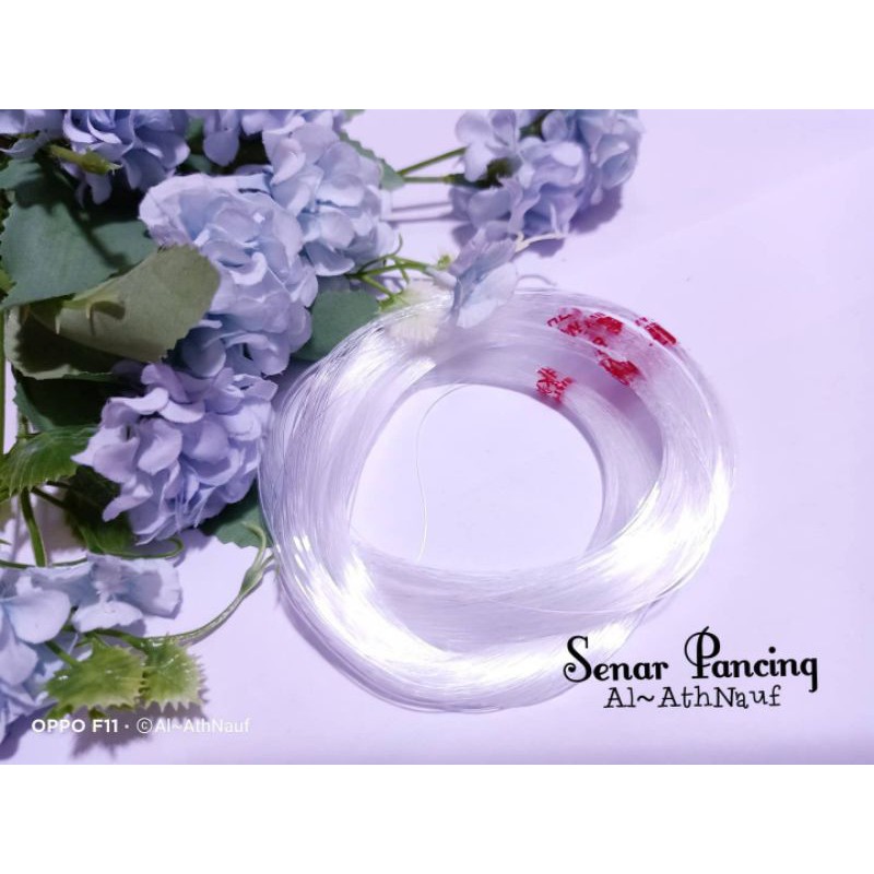 Senar Pancing Rol (100 Meter)