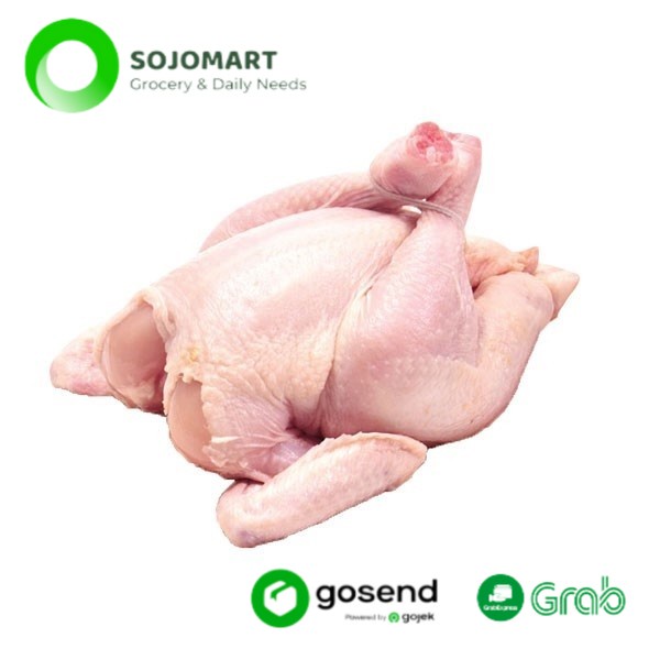 

Ayam Broiler Uk 08 09 Pcs 800 Gr Sayur Online Medan