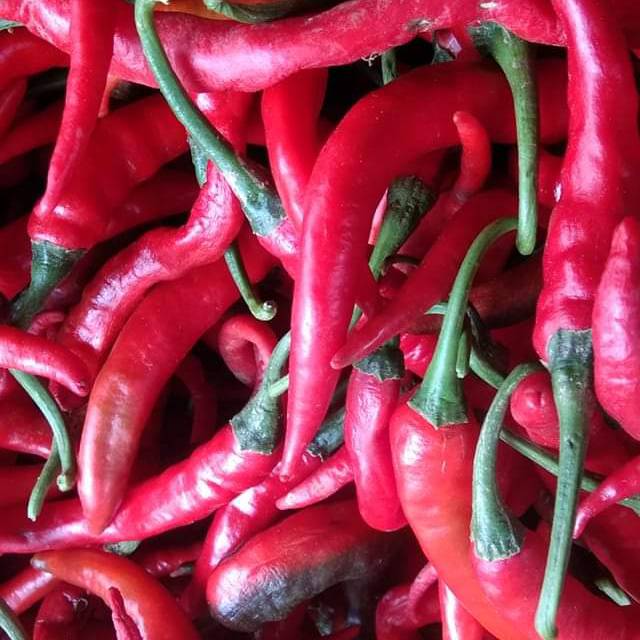 

cabe merah 11.000 per 1/2 kg