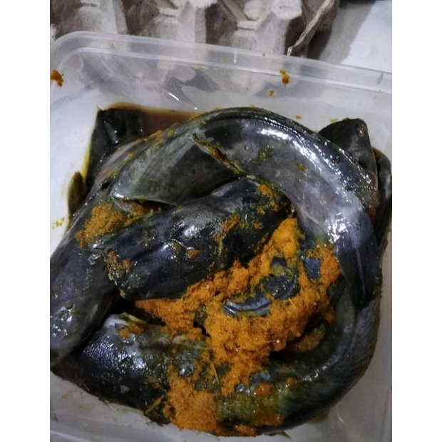 

LELE BUMBU KUNING 1 kg (isi 6/7)