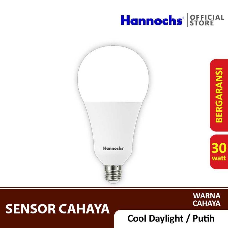 Lampu LED Light Sensor / Sensor Cahaya 30 watt cahaya Putih