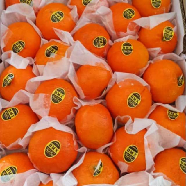 

Buah segar