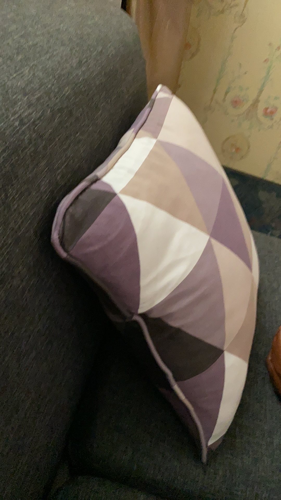 Sikat 2in1 Karpet Lantai Mobil Sofa Jok Mobil Dan Sikat Bulu Beludru