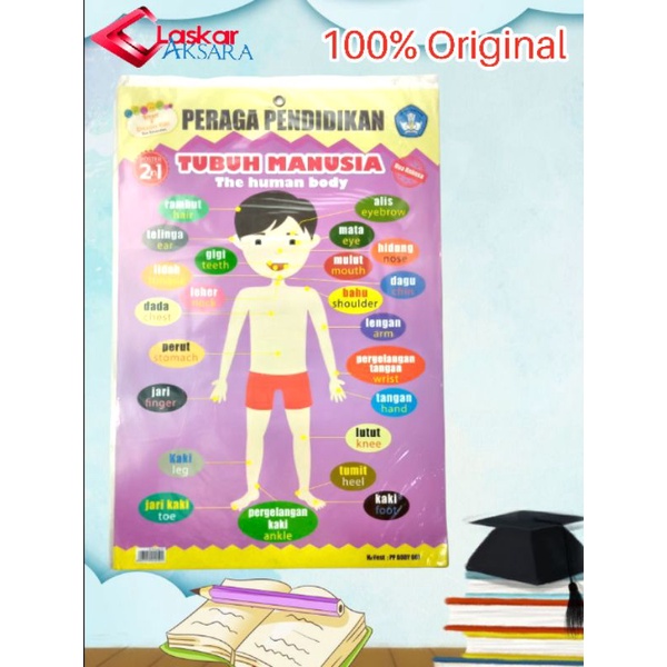 

Poster Belajar Anak 2 IN 1 Seri Organ Tubuh Manusia