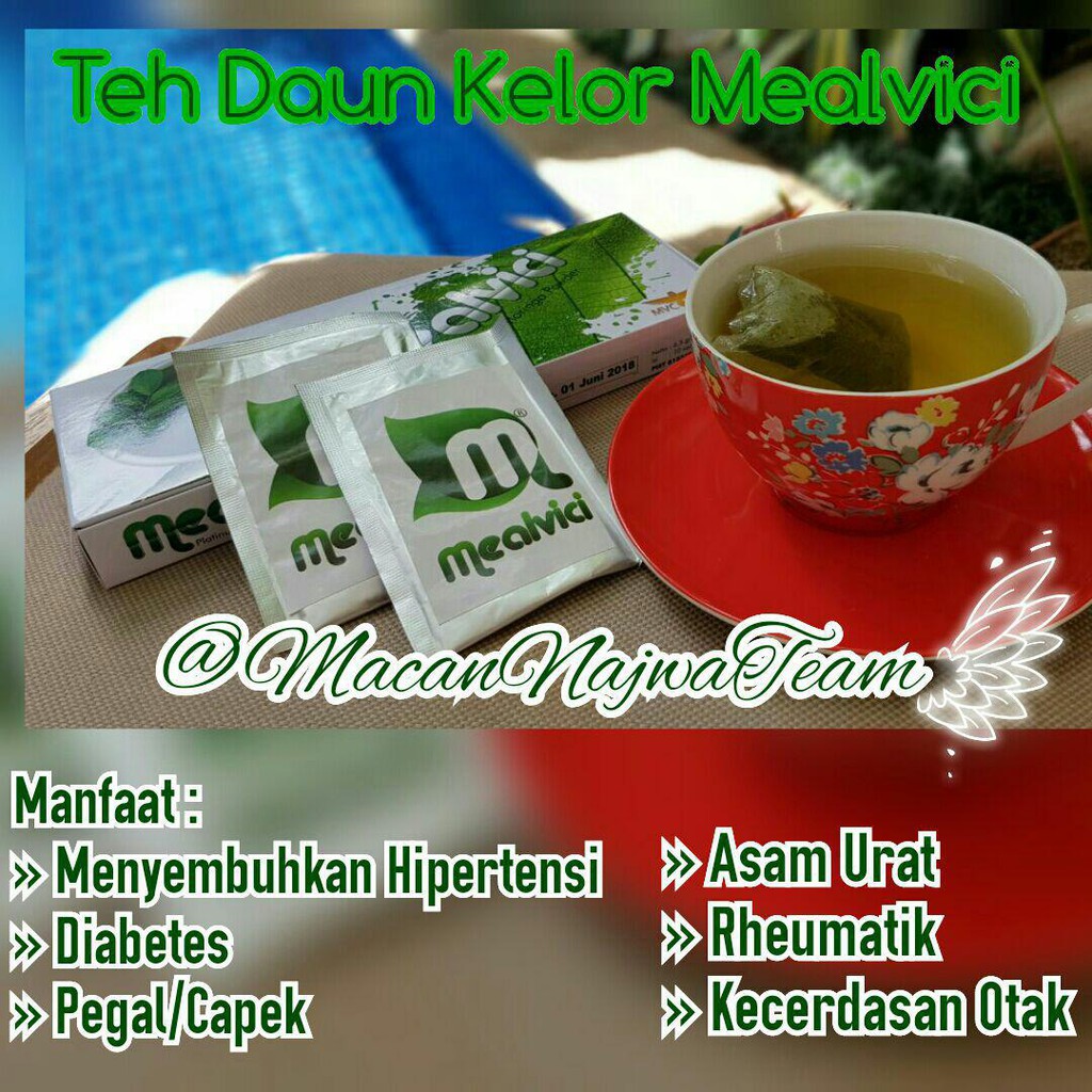 

teh daun kelor