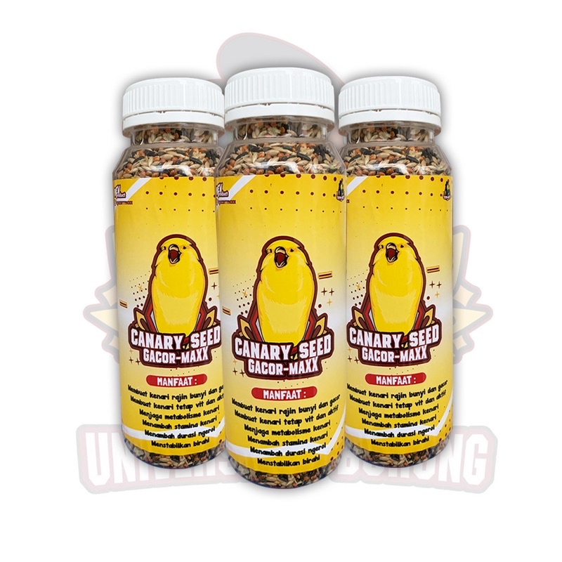 pakan kenari canary seed gacormaxx | pakan cepat gacor