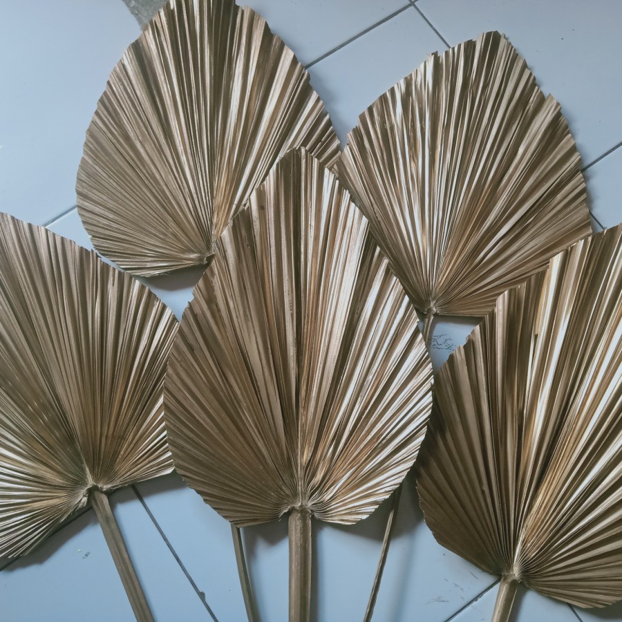 Daun Palem Kering Gold Emas Rustik artificial