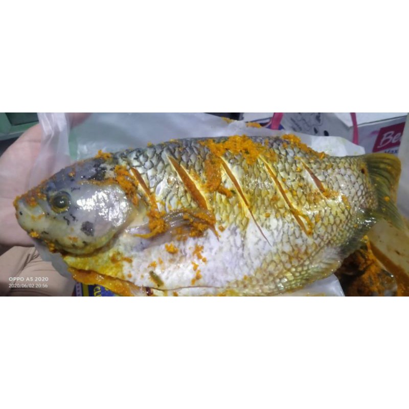 

Gurame Bumbu (potongan) 400gram