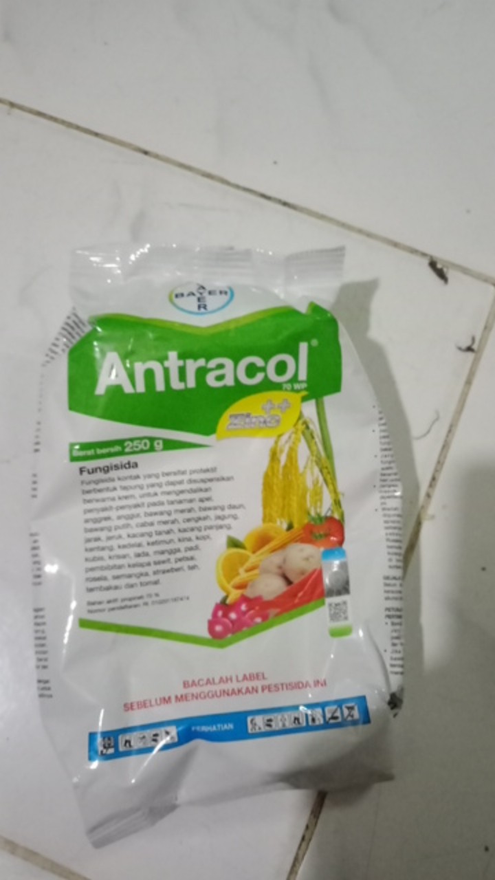 Fungisida Antracol 70wp + Zinc 250 Gram