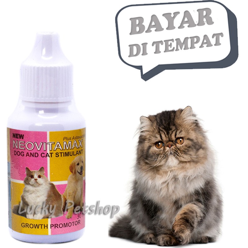 VITAMIN NAFSU MAKAN KUCING ANJING NEOVITAMAX