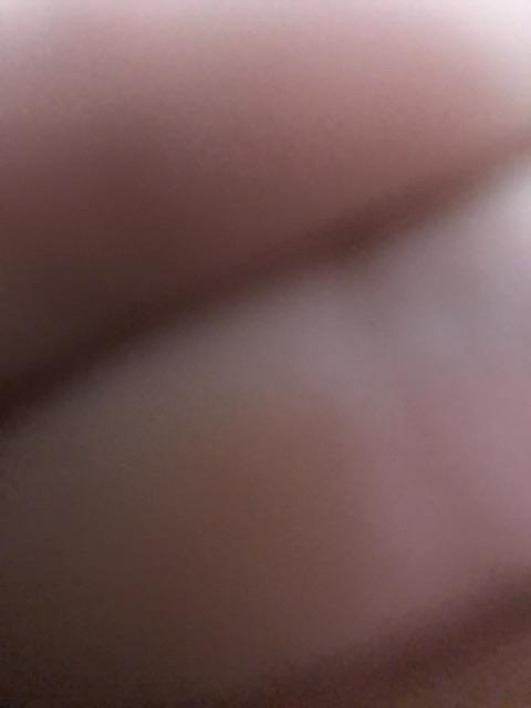 Tanaman Hias Calathea Black Lipstik - Meranti Papua