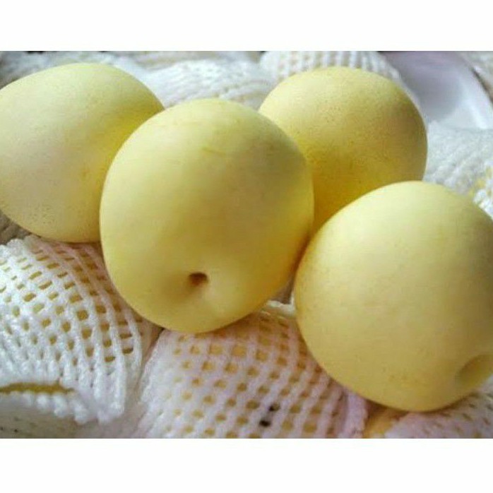 

Buah Pir / Pear 1kg