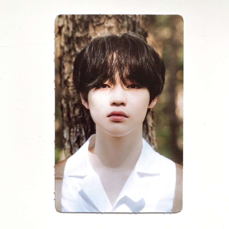 NCT DREAM CHENLE DAD (DREAM A DREAM PHOTOBOOK) OFFICIAL PC / PHOTOCARD