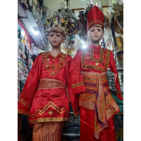 Baju Karnaval Anak Sd Perempuan