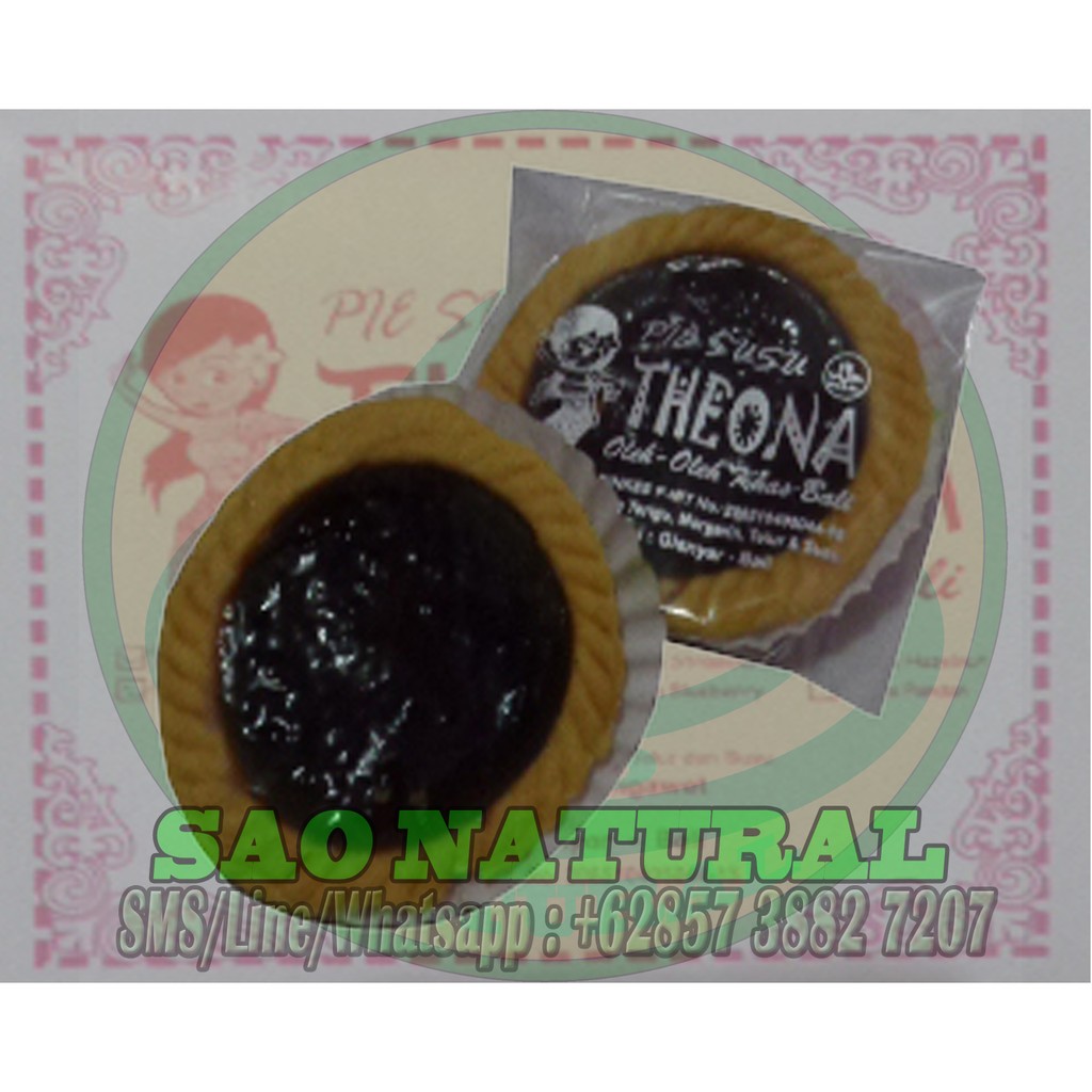 

PIE SUSU THEONA RASA BLUEBERRY (M1008)