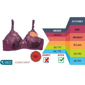 Xisimei BH Bra Brokat Bordir Wanita Dengan Busa Tanpa Kawat by Izdan Shop