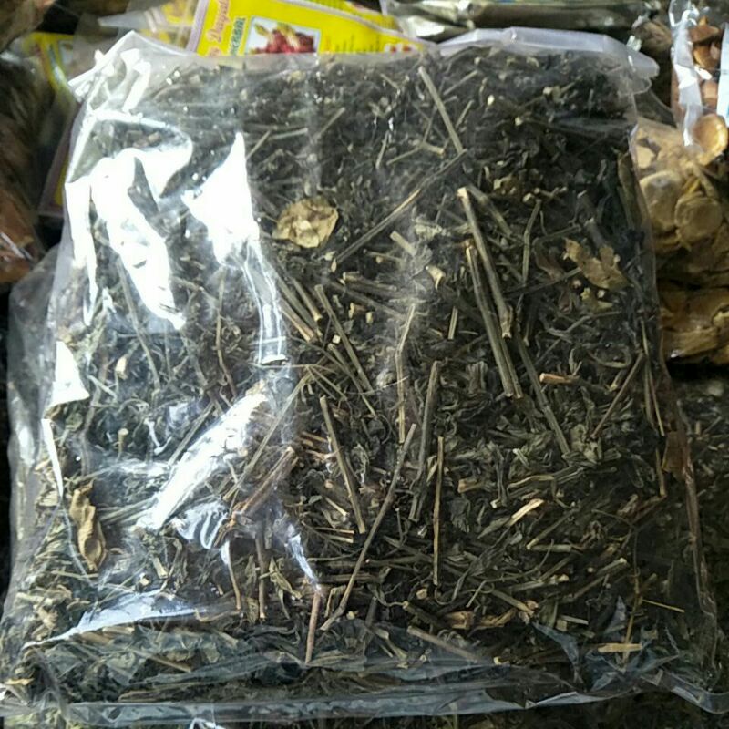 

daun Sambiloto teh Herbal untuntuk kesehatan