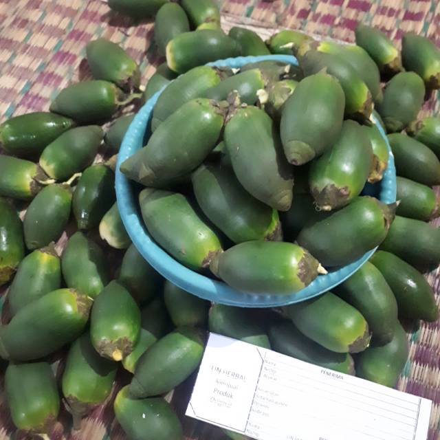 

HEMAT BUHA PINANG MUDA 500 GRM