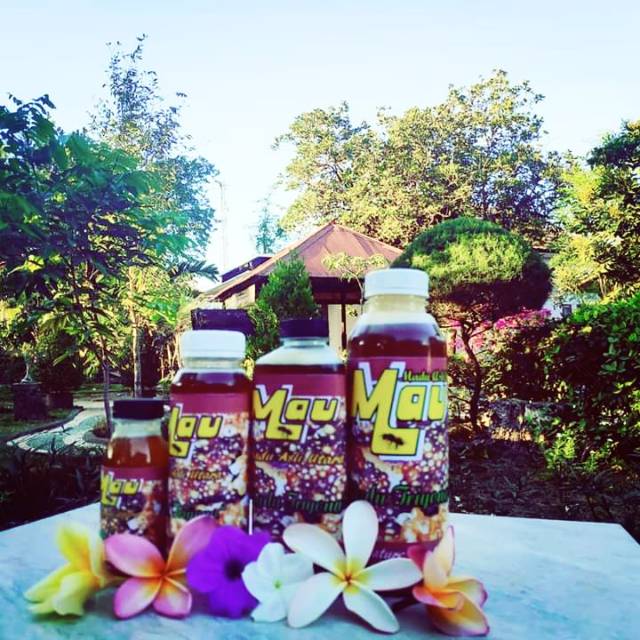 

Madu Alami Utara ( MAU ) Madu Cerana