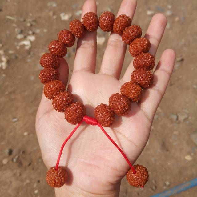 Gelang mukhi 8 genitri rudraksha jenitri original