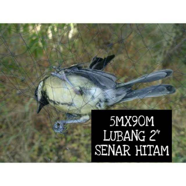 JARING BURUNG HITAM 2" BENANG 0,15/ JARING BURUNG EMPRIT HITAM/ JARING BURUNG 2JARI HITAM