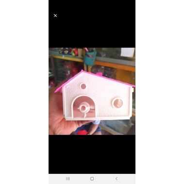 rumah rumahan hamster