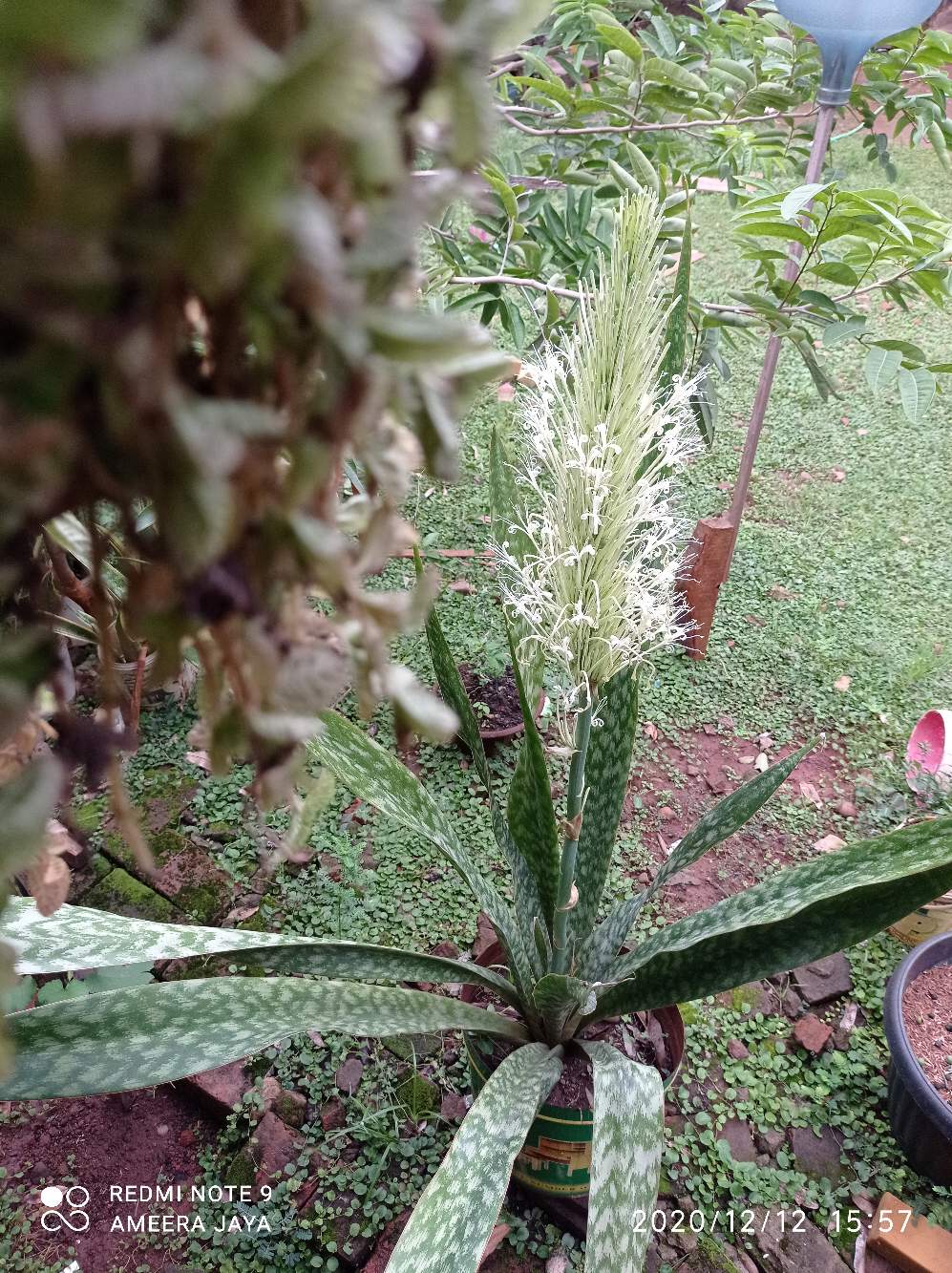 Gamis Zahra Biru Shibori Batik Indigo Sibori Handmade Muslim Long Maxi Seragam Pesta Kerja Kondangan