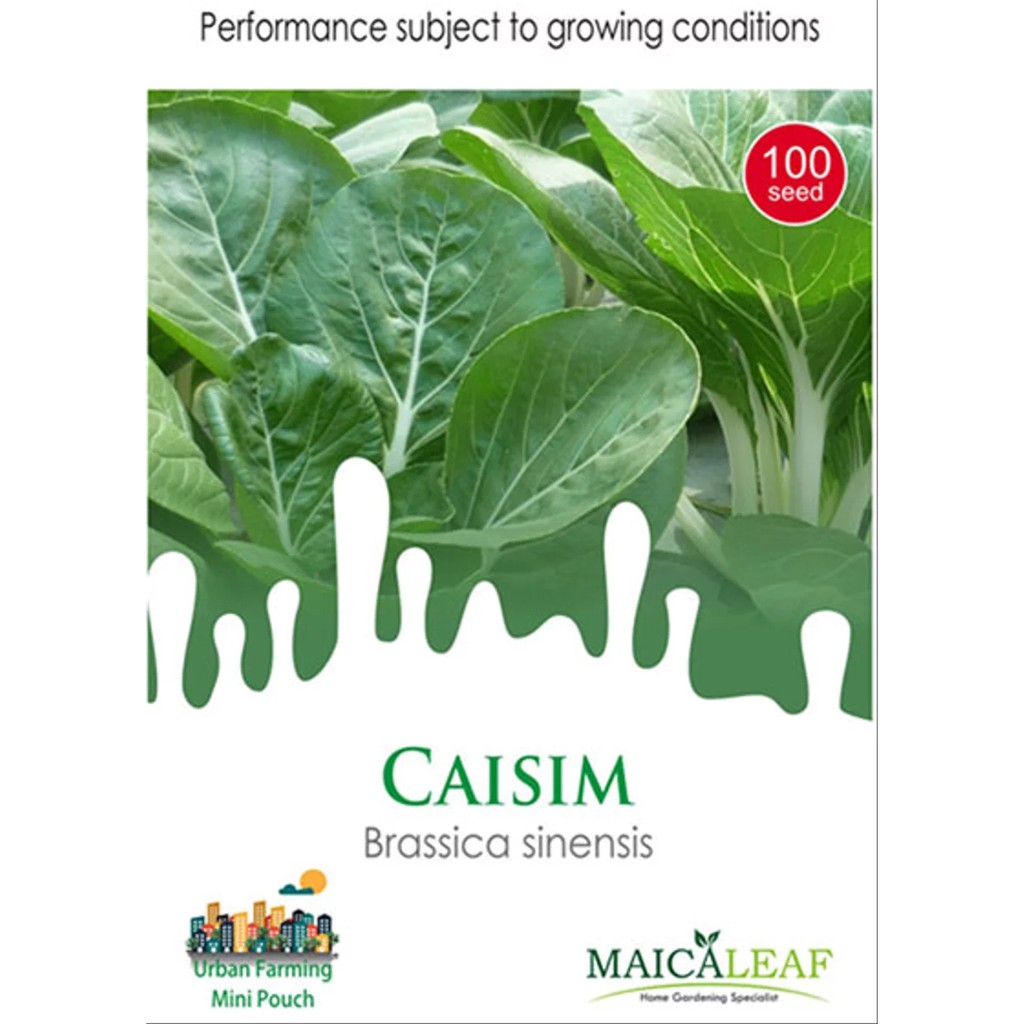 Benih Sawi Hijau Caisim/Bibit Sawi Hijau isi 100 Benih