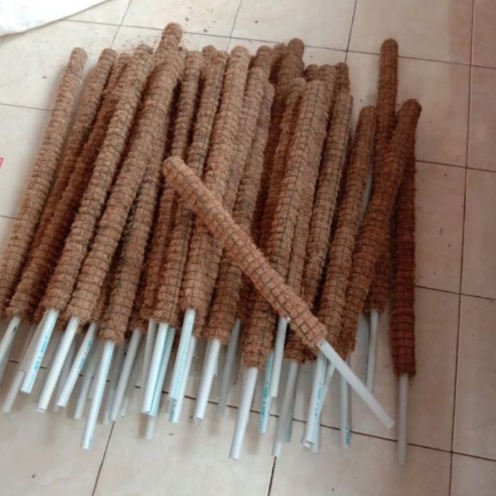 Turus Sabut Kelapa - Turus Penyangga Tanaman 70cm -tanaman hias hidup-tanaman hidup(bunga hidup-bung