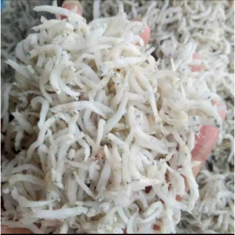 

Teri nasi medan