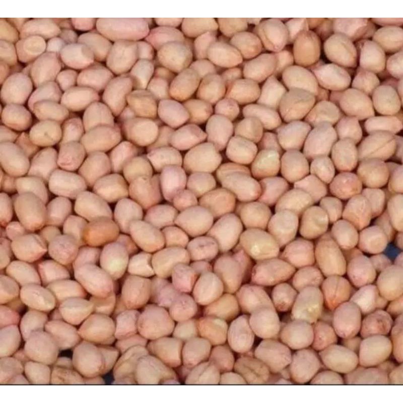 

Kacang Tanah 100 Gram