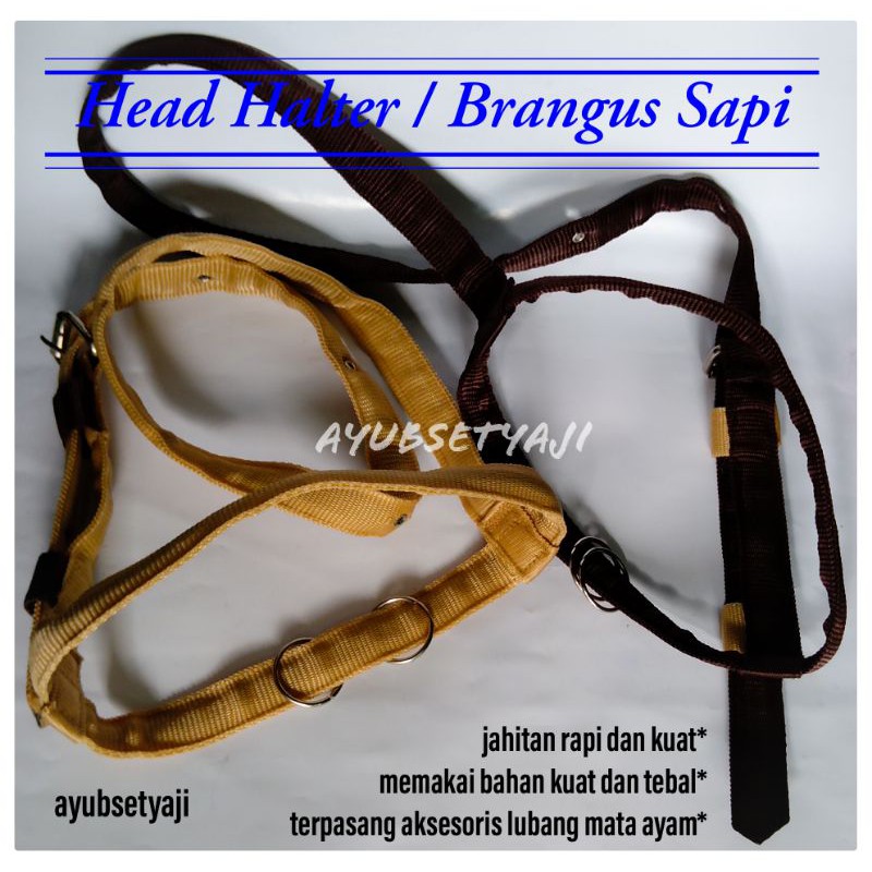 Brangus Sapi Head Halter sapi kambing kuda Tali ikat kepala Sapi tali tuntun Tali Harnes sapi kalung