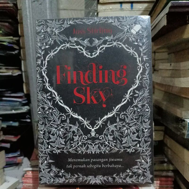 OBRAL BUKU NOVEL / BUKU FIKSI / NOVEL REMAJA / NOVEL ROMANSA #6C/D #14B-Finding Sky
