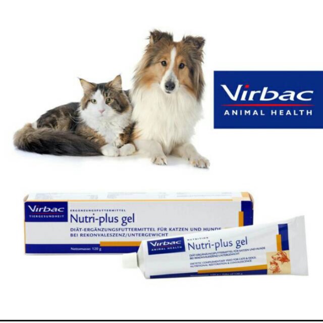 NUTRIPLUS GEL / Nutriplus gel -Vitamin-Suplemen vitamin Ajing Kucing EXP JUNI 2024